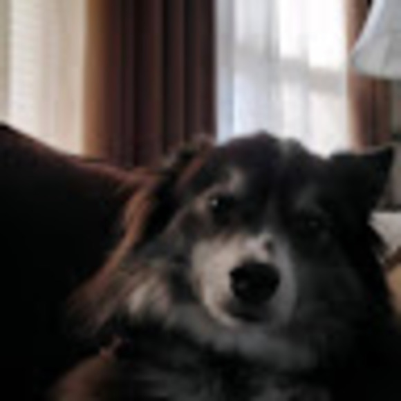 Meet your Posher, Rachel - Picture 1 of 1